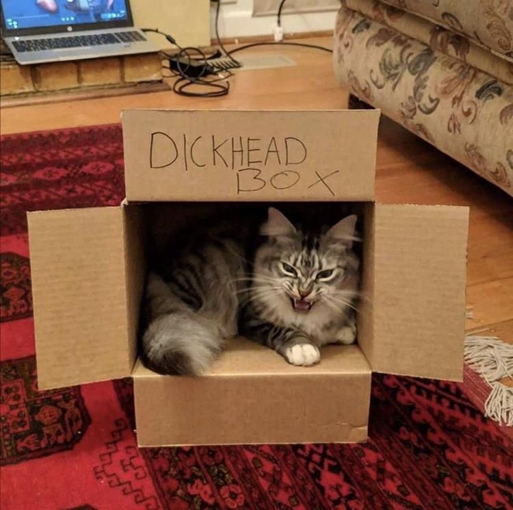 Need those box