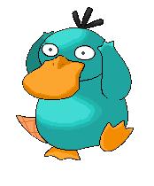 Perry the psyduck