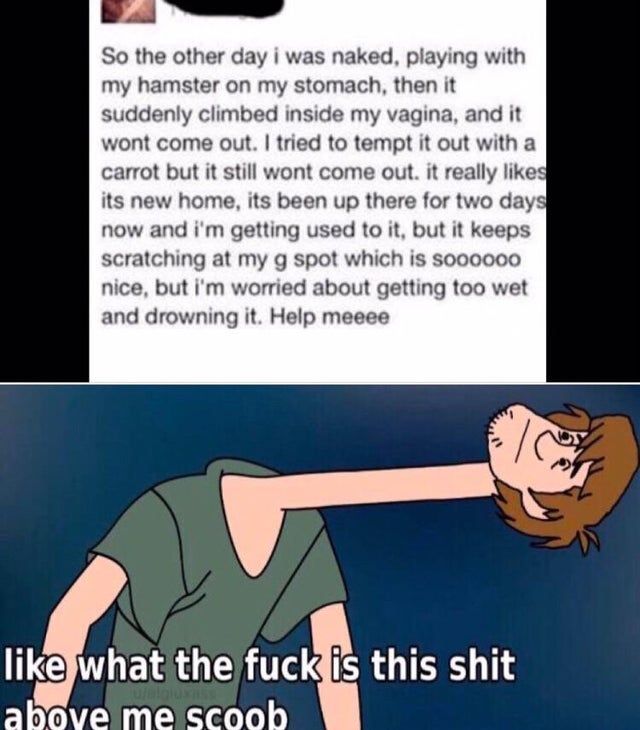 4k Shaggy had never seen such bullshit before