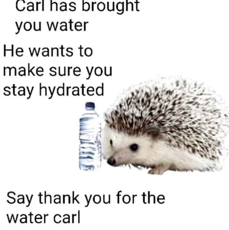 Thank you Carl, very cool!