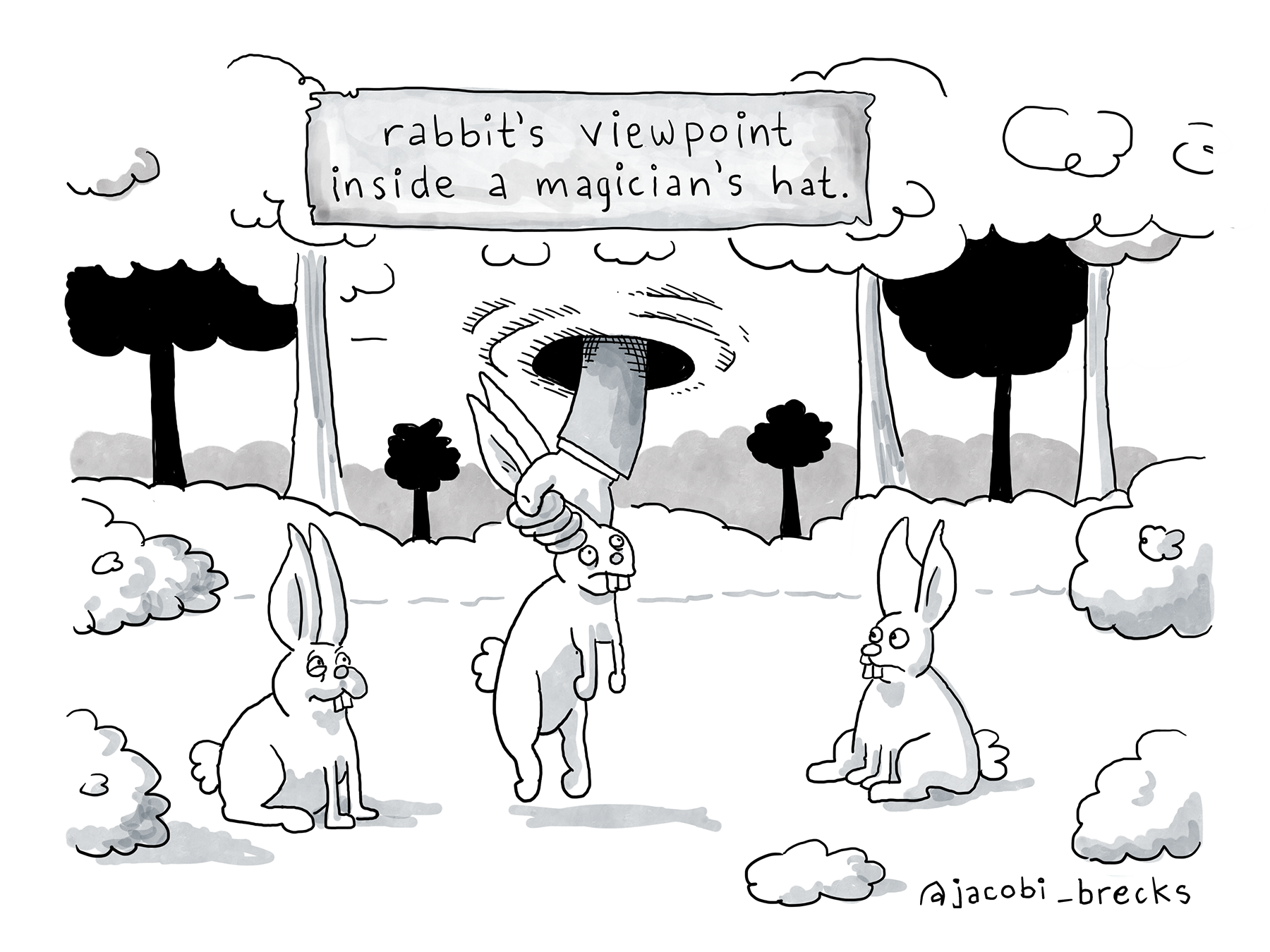 The Rabbit's Point of View