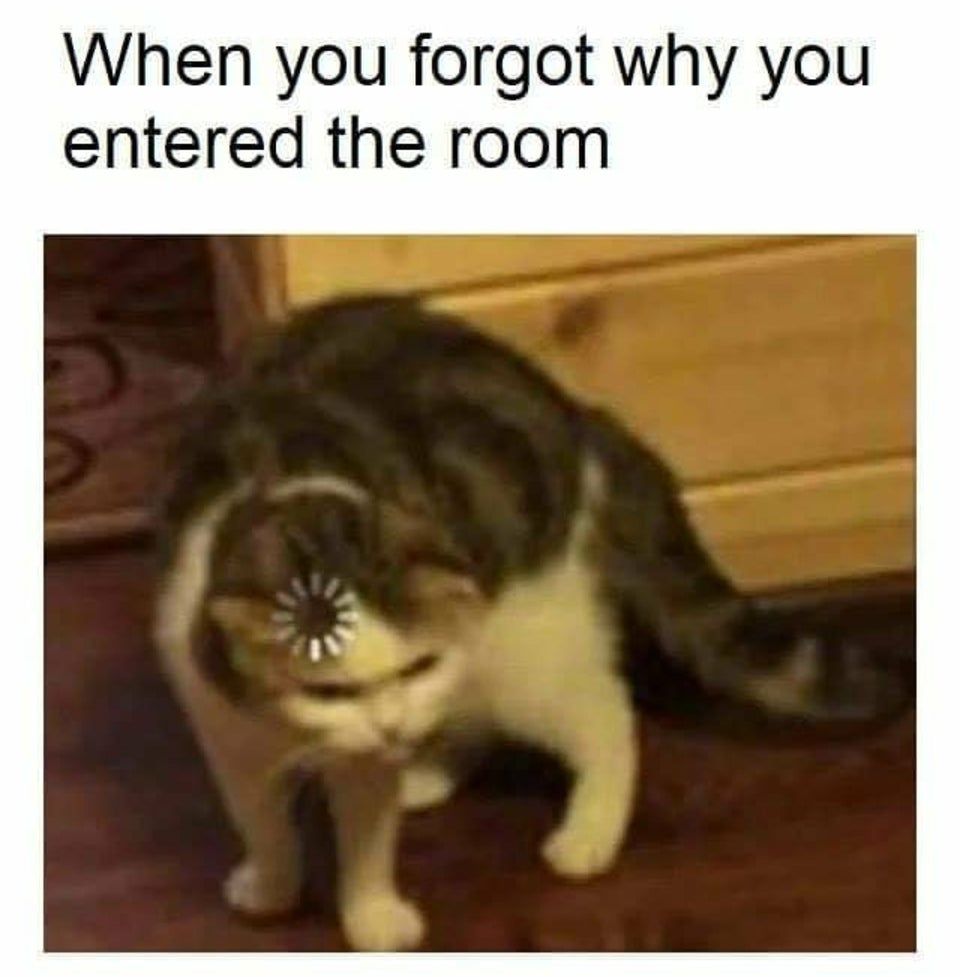 :( your brain ran into a problem