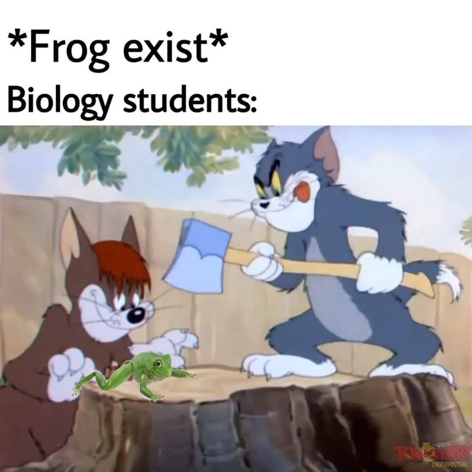 my dudes...