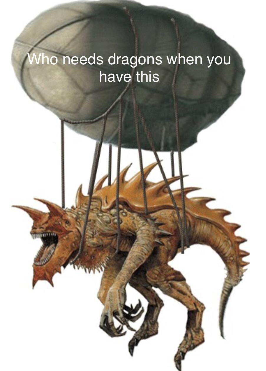 It has wizard levels too