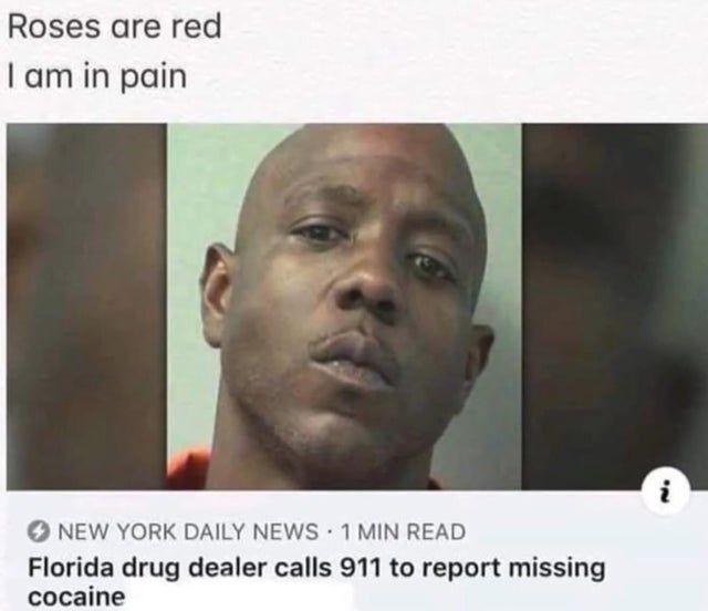 Florida Man #245322