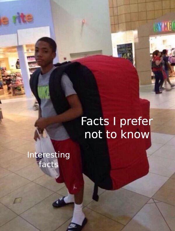 brain baggage