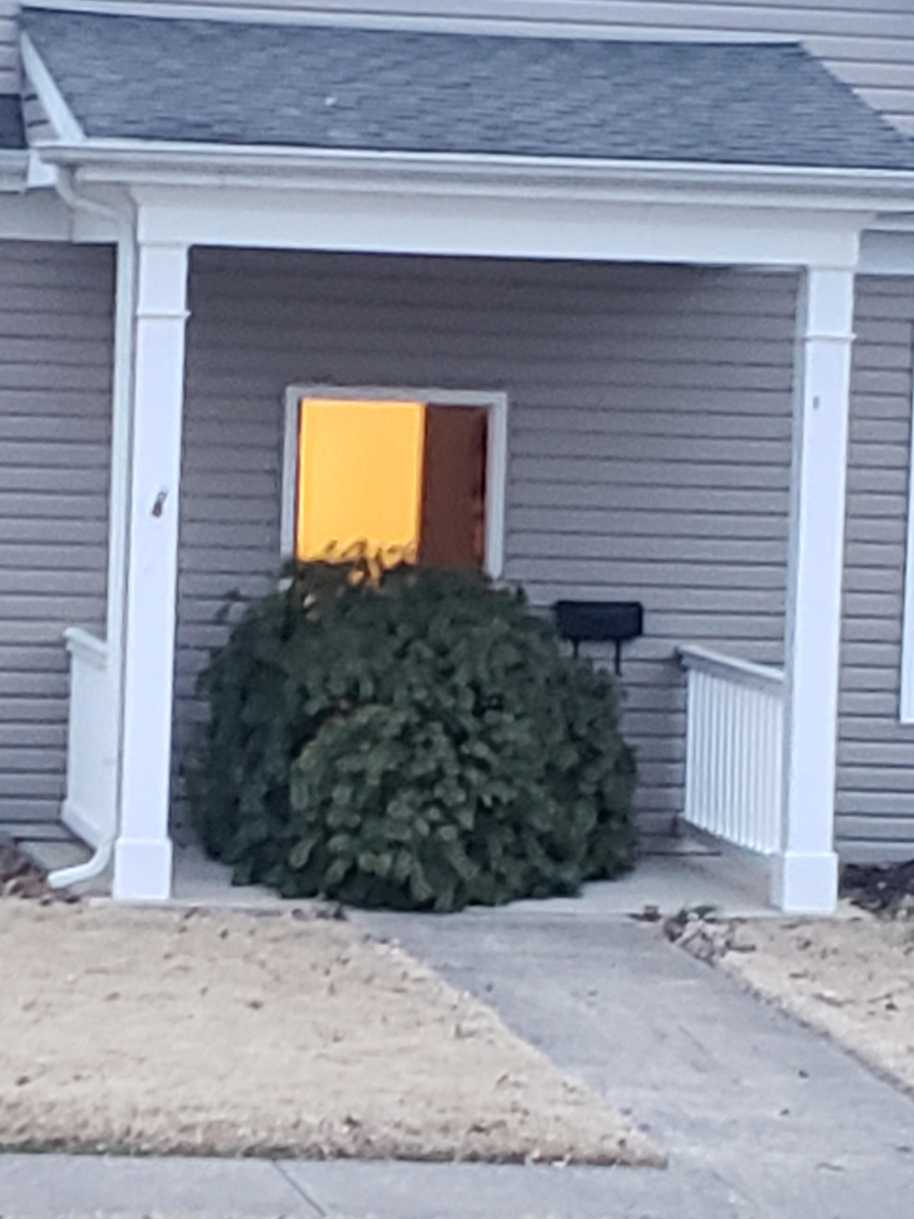 My neighbors Christmas spirit is bigger than his door.