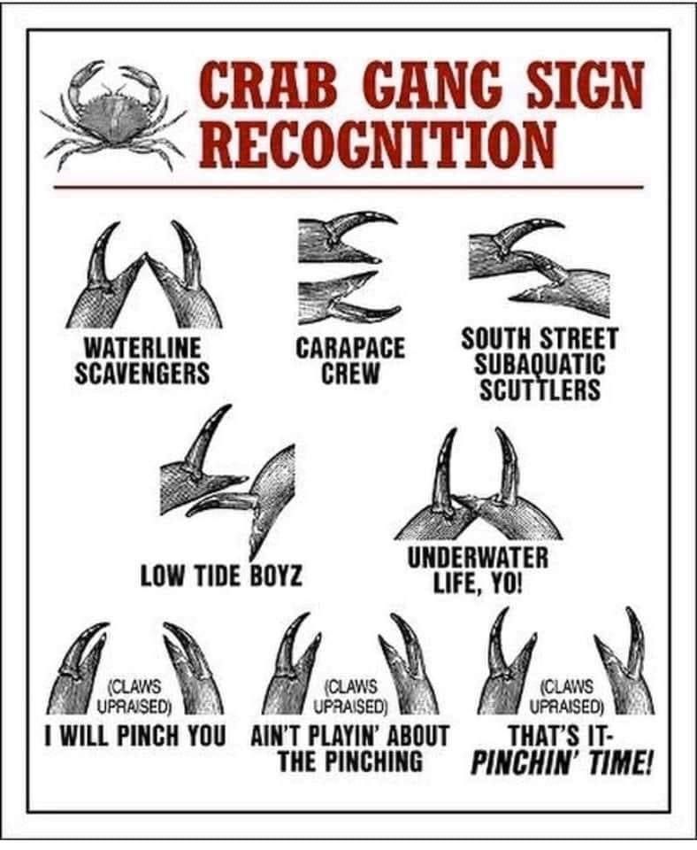 Beware of crab gangs
