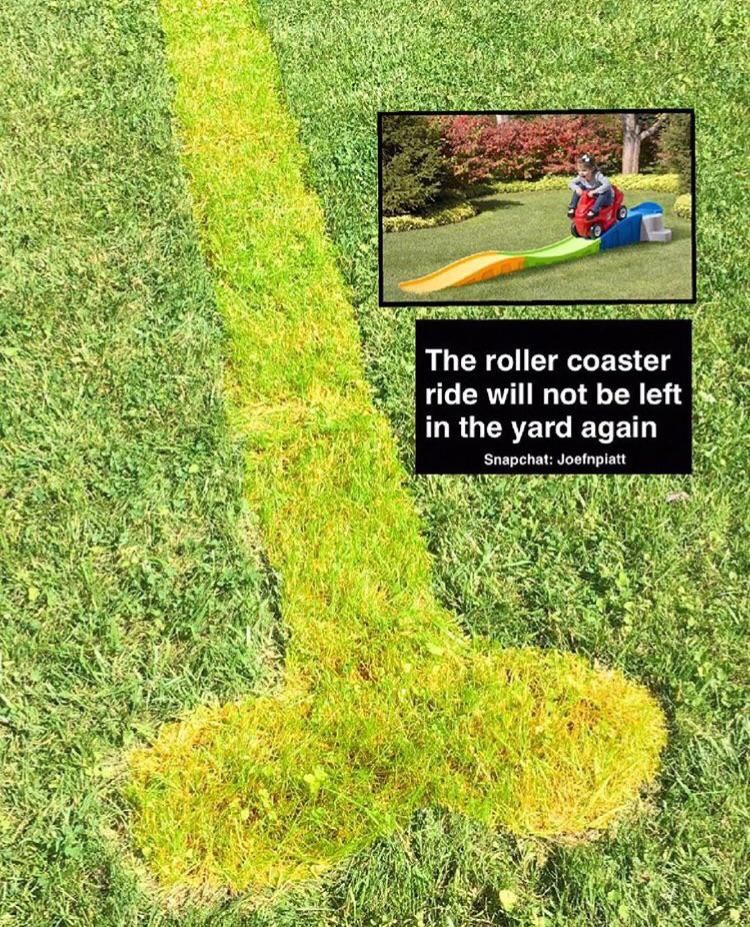 The rollercoaster toy will not be left in the yard again