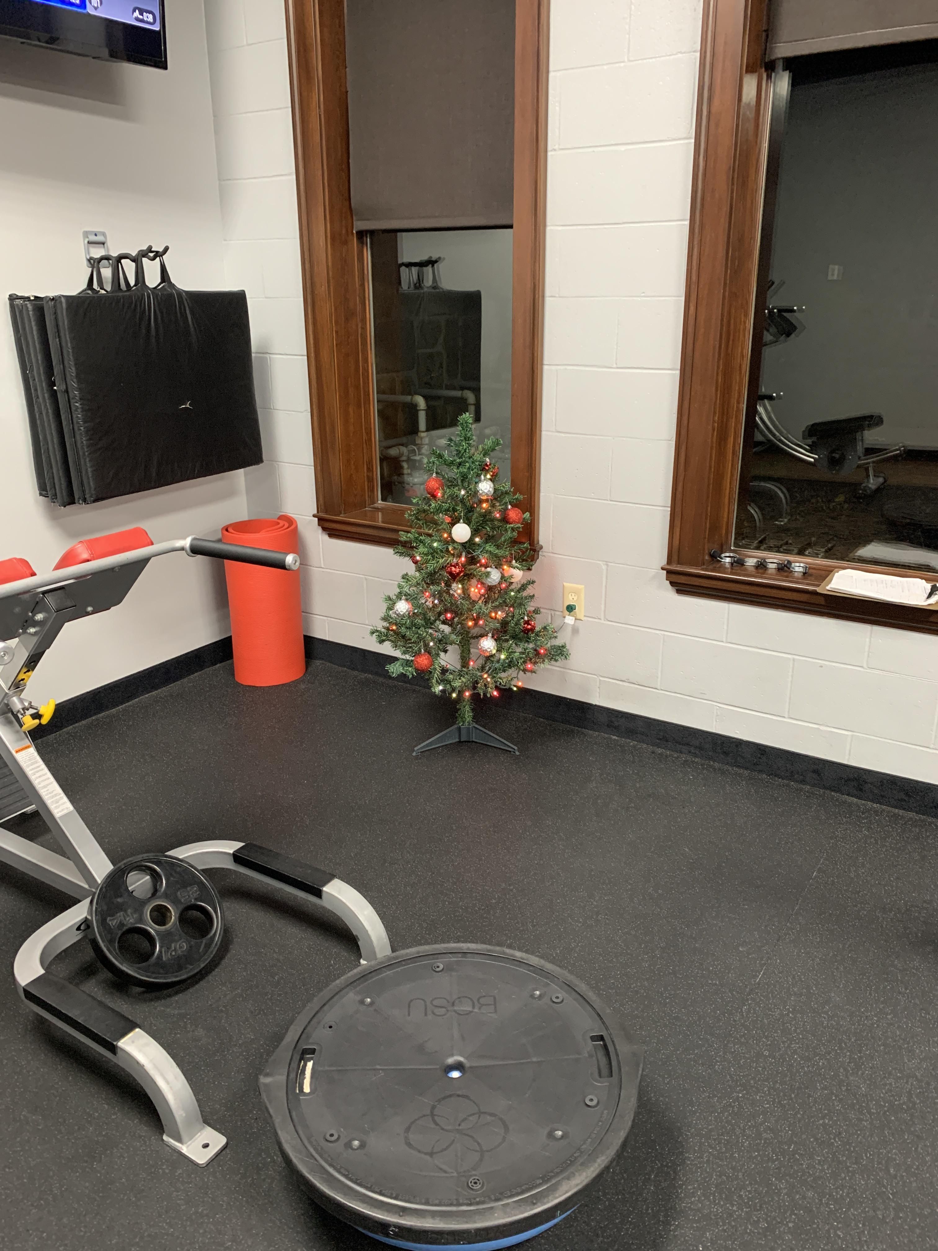 My gym decided to go all out for Christmas this year