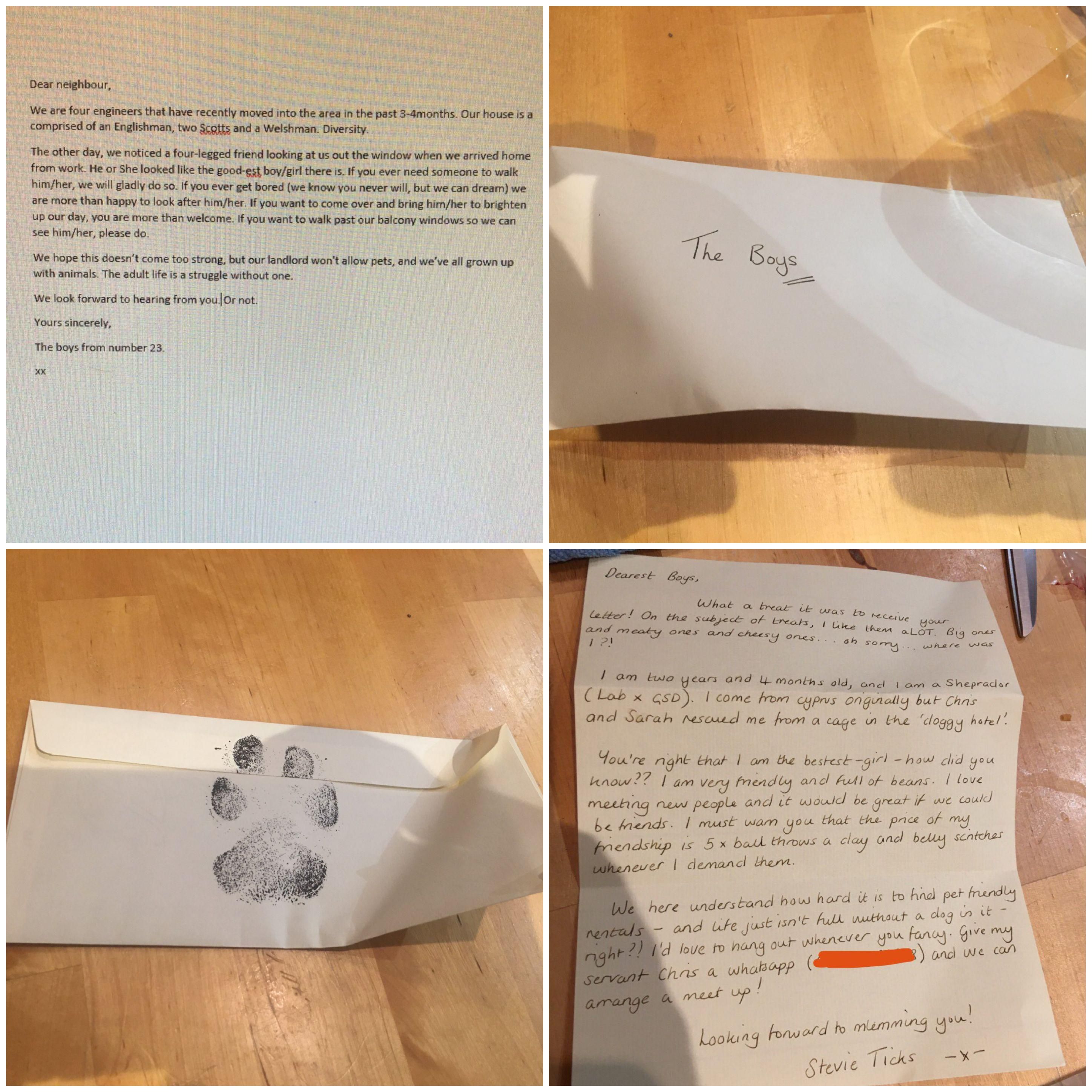 Some guys were looking for a furry friend. They received the best response ever.