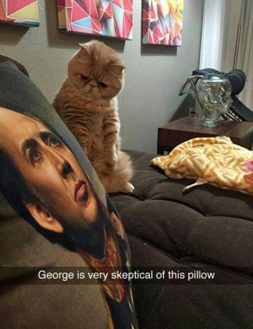 Skeptic George