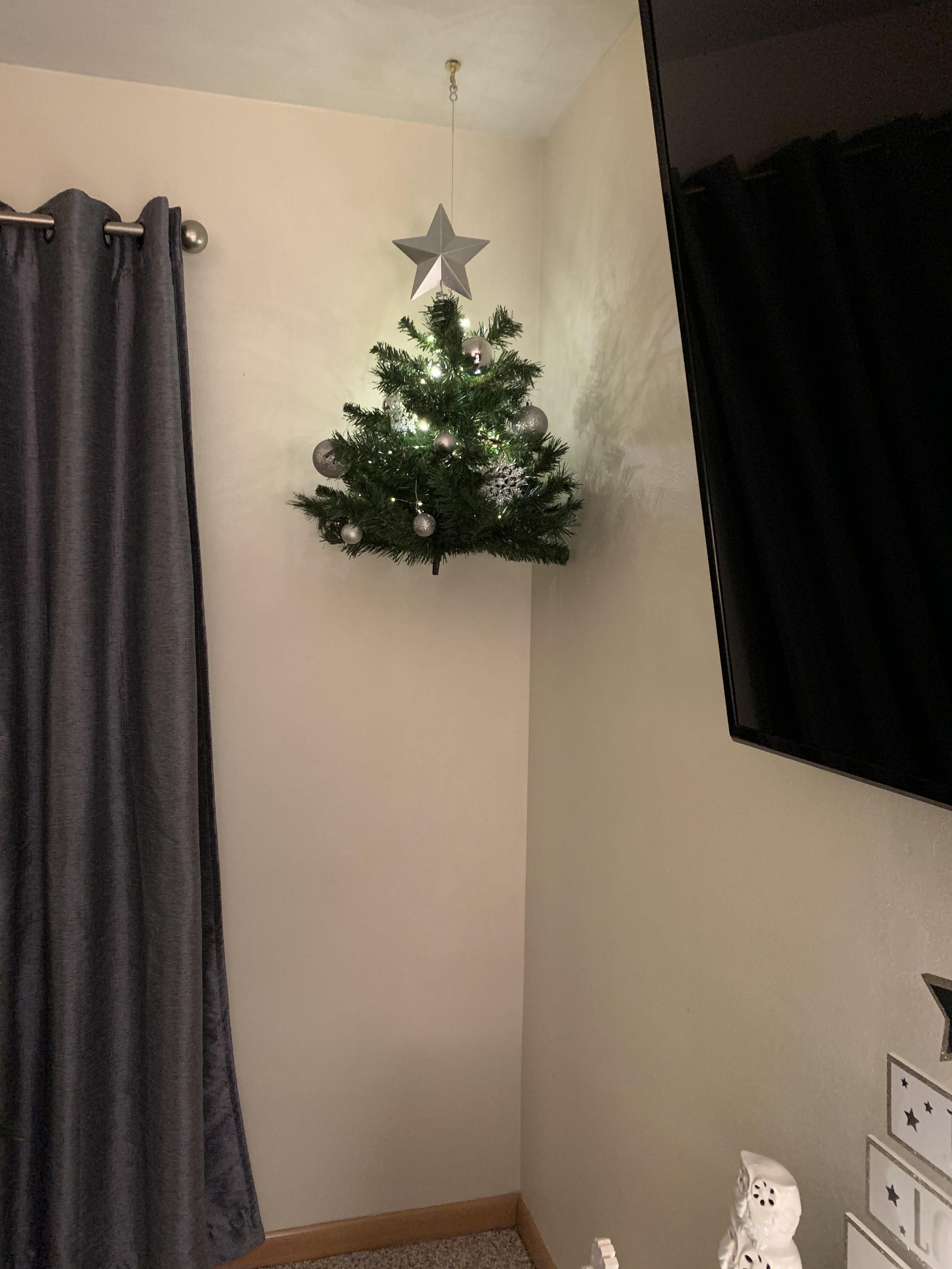 Our cats wouldn’t stop climbing the tree, so my wife had a great idea...checkmate Buttholes.