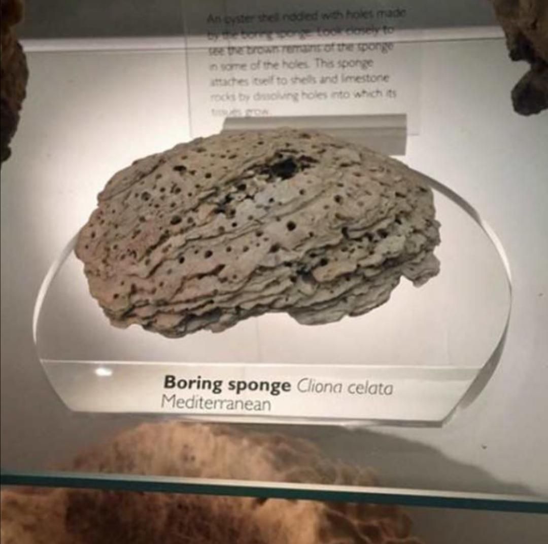 Found a picture of my Ex at a Museum today