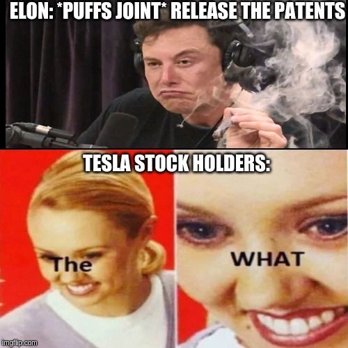 Tesla Stock Meme / Nio Stock Vs Tesla Stock Which One And Why Will Make ...