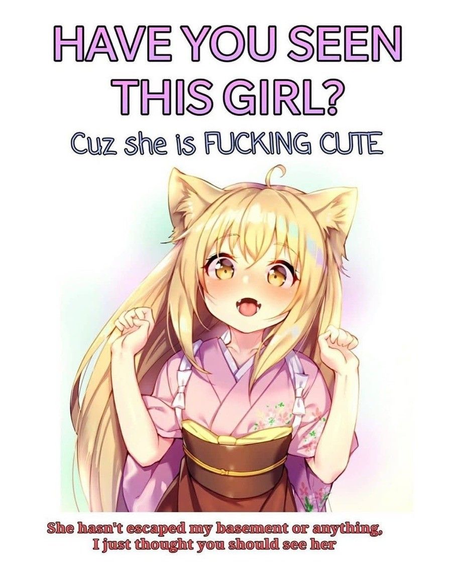 (=ↀωↀ=)