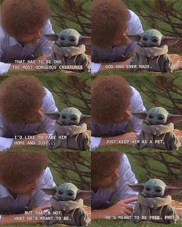 bob
