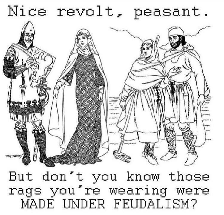 Serfs Up