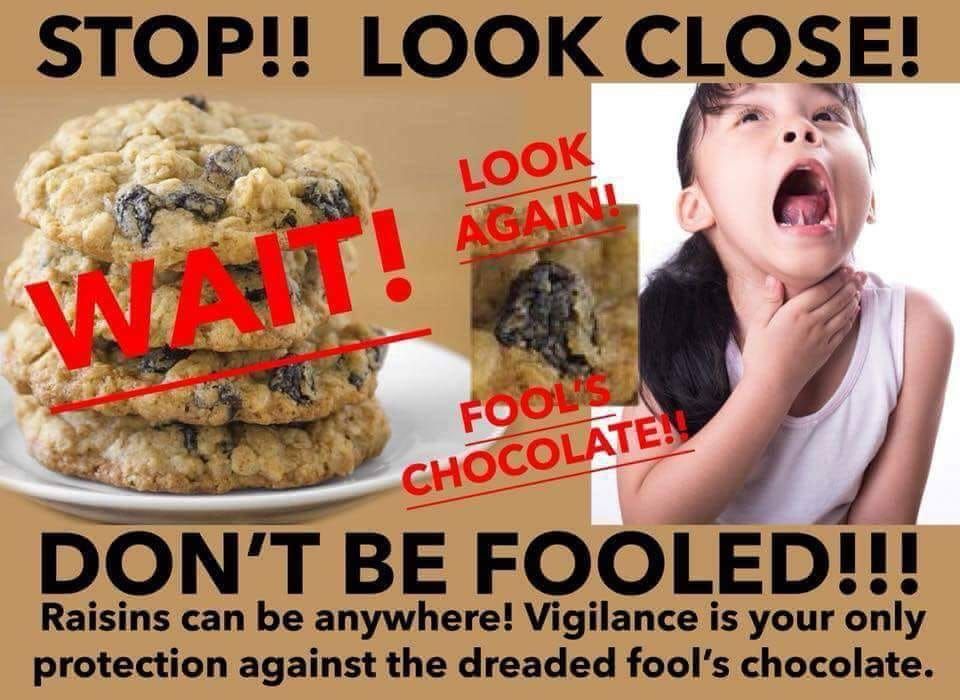 Don't be tricked by Fool's Chocolate!