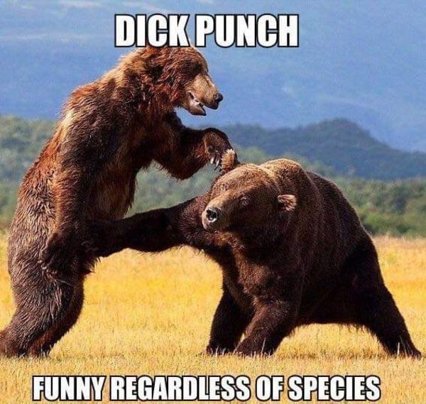 Sneaky bear punch