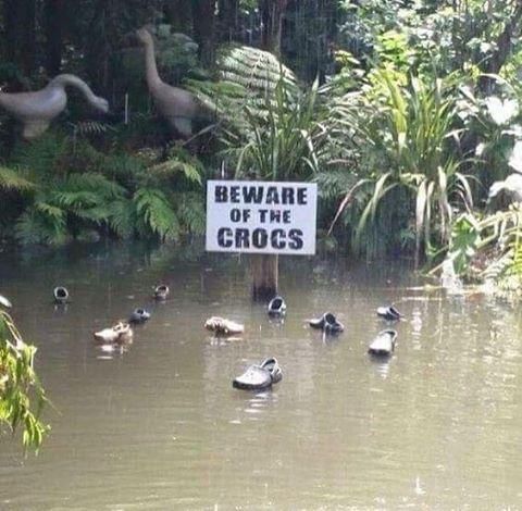 Behold, Lake Croc.