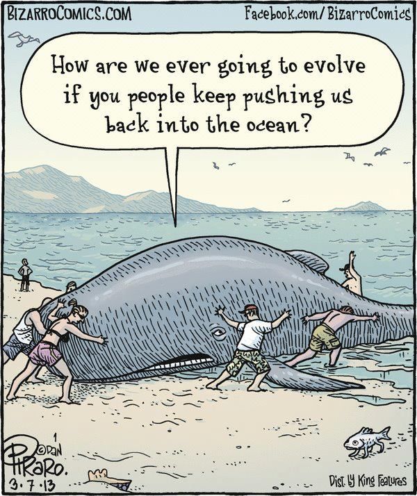 How are we ever going to evolve?
