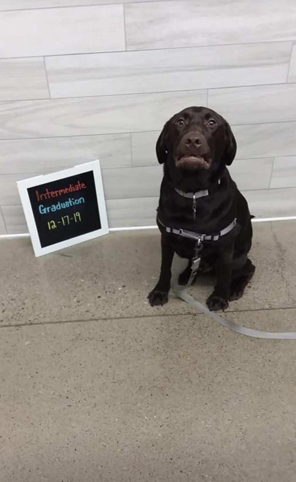 A picture my sister sent me of a dog that graduated from the training classes at her work. This is his excited face :)