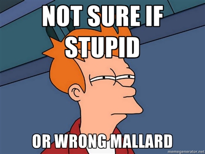 Whenever an AA Mallard advice seems dumb