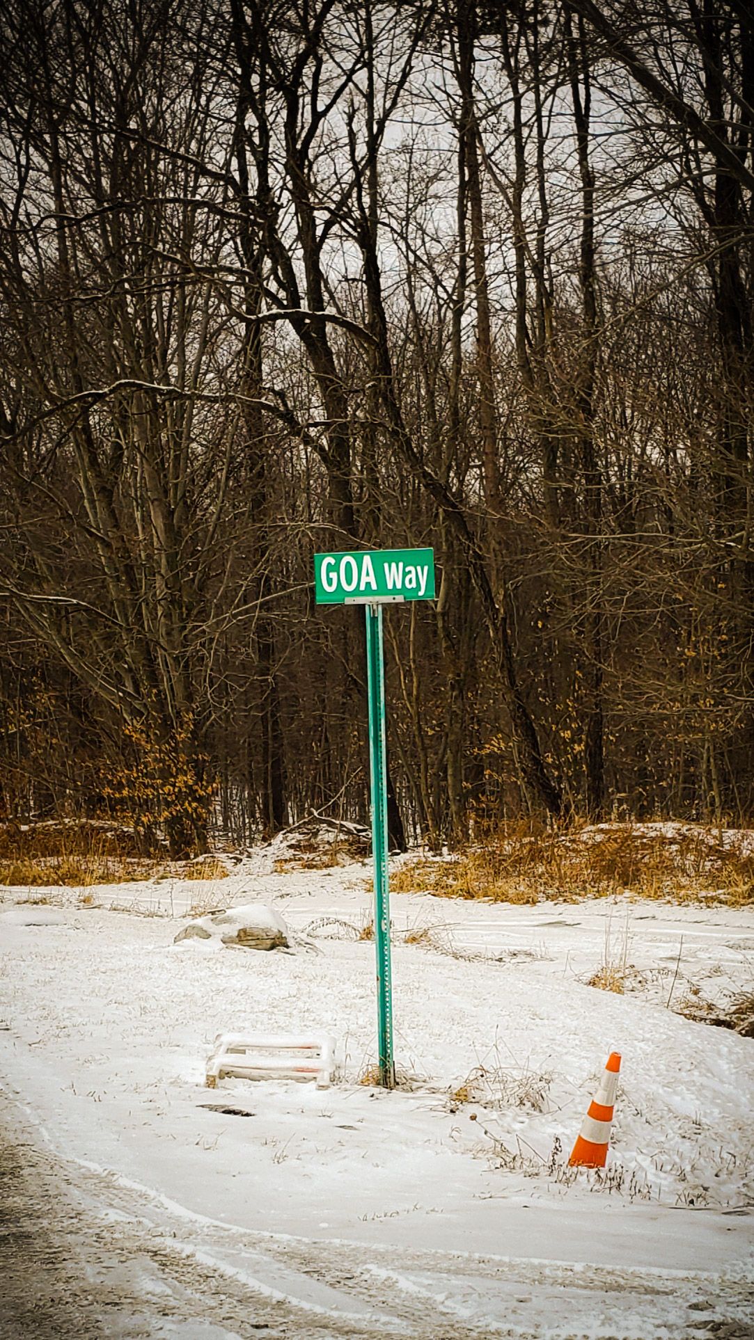 Found this today in a very remote part of my old hometown
