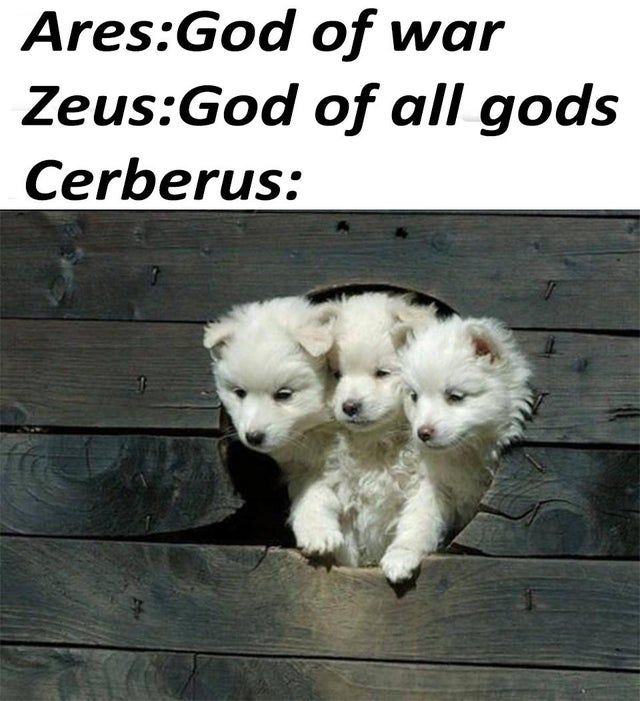 *woof* x 3