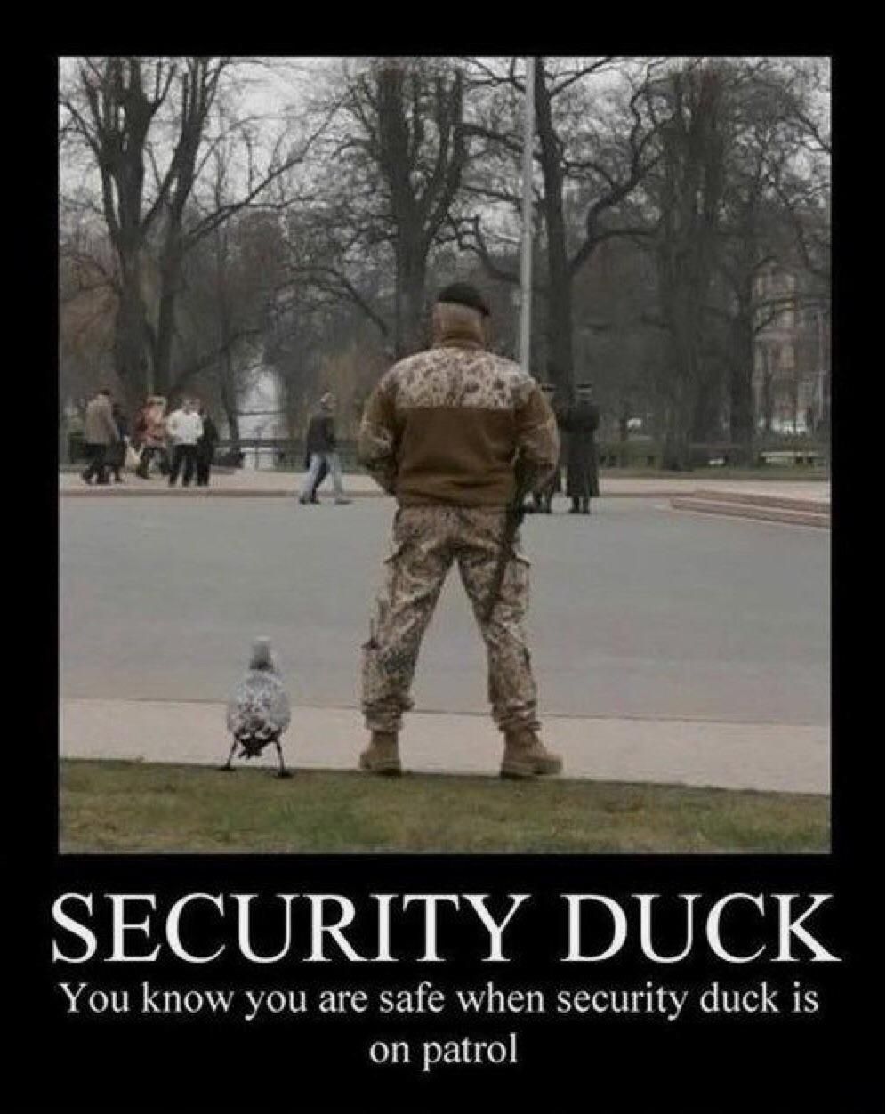 Duck Security