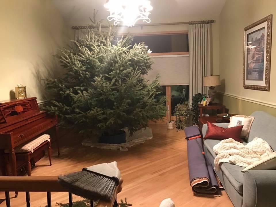 Just a reminder that this was the Christmas tree my dad picked out in 2016...