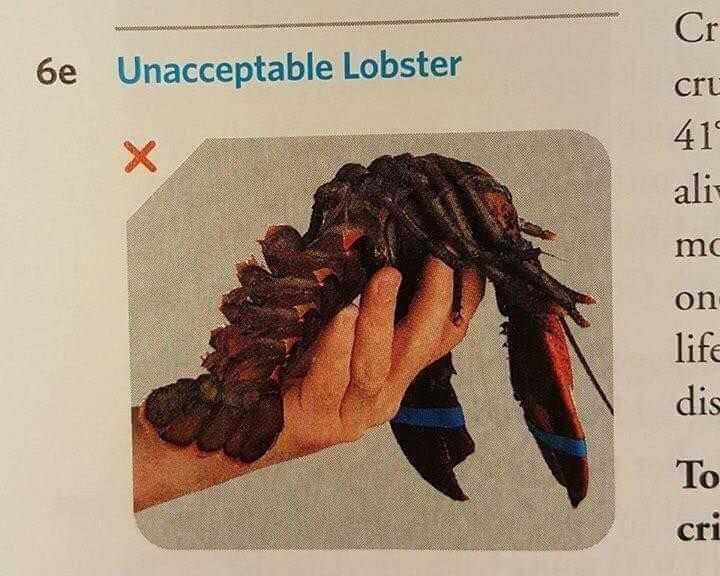 post-modern lobster