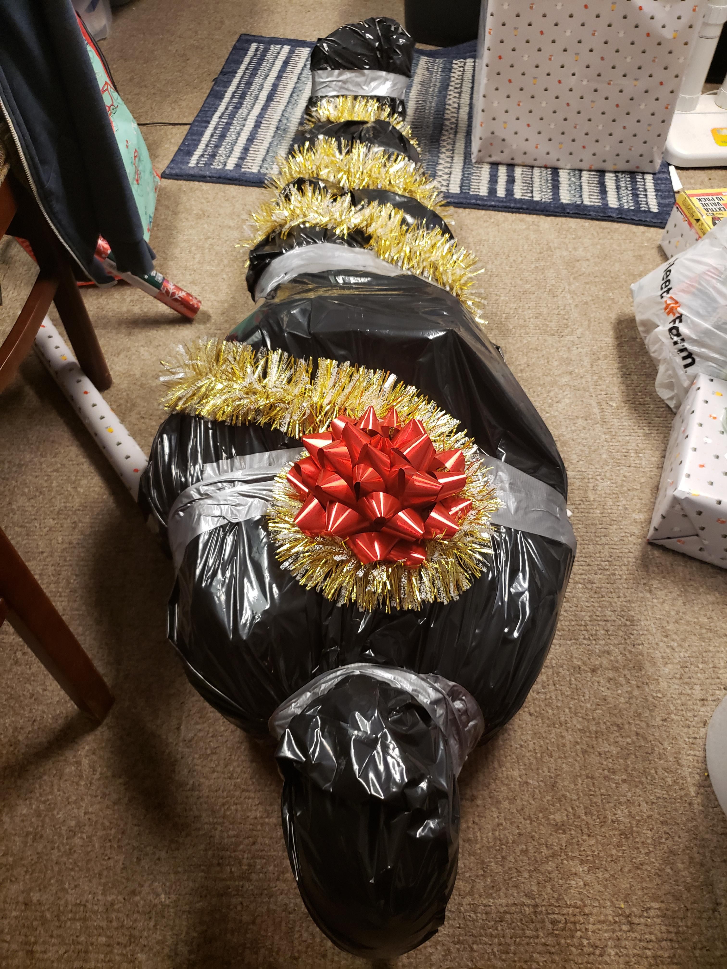 I took some creative liberties when wrapping my brother's Christmas gift.