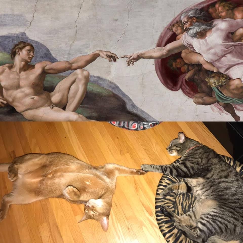 Creation of Chonk
