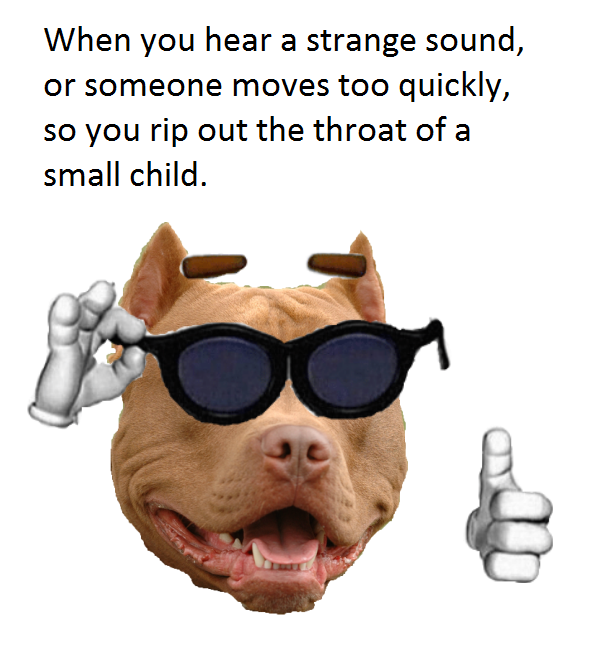 Your best friend