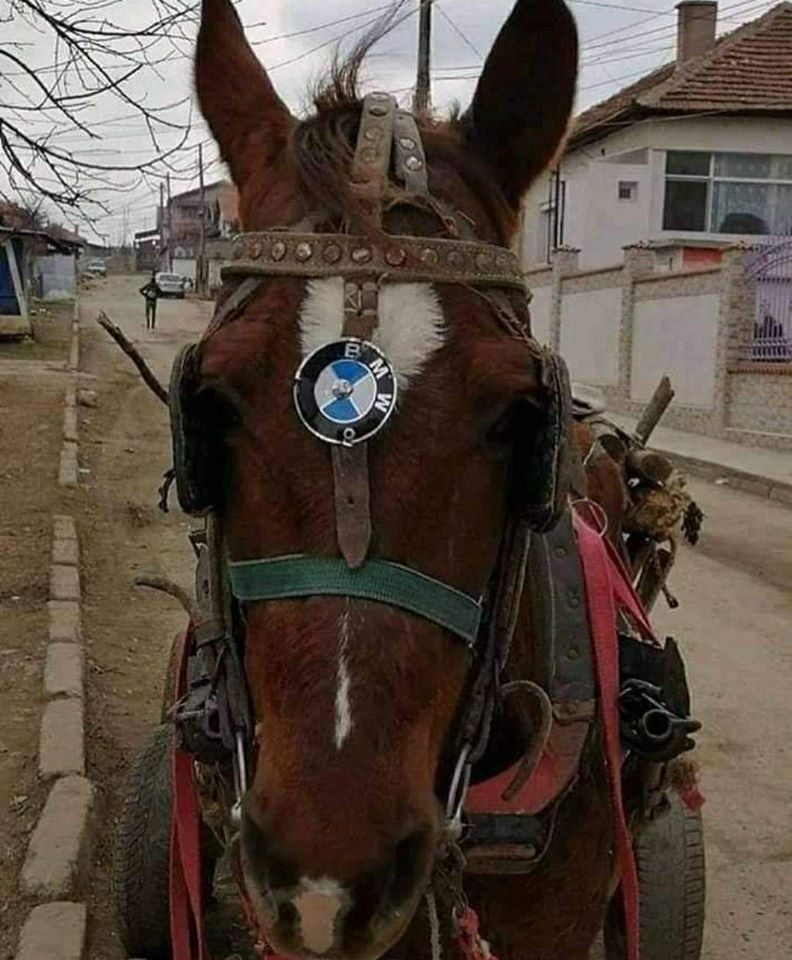 I have one horse power BMW
