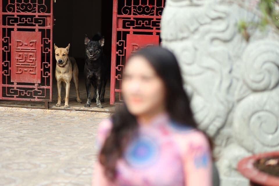 The photographer must be a dog lover