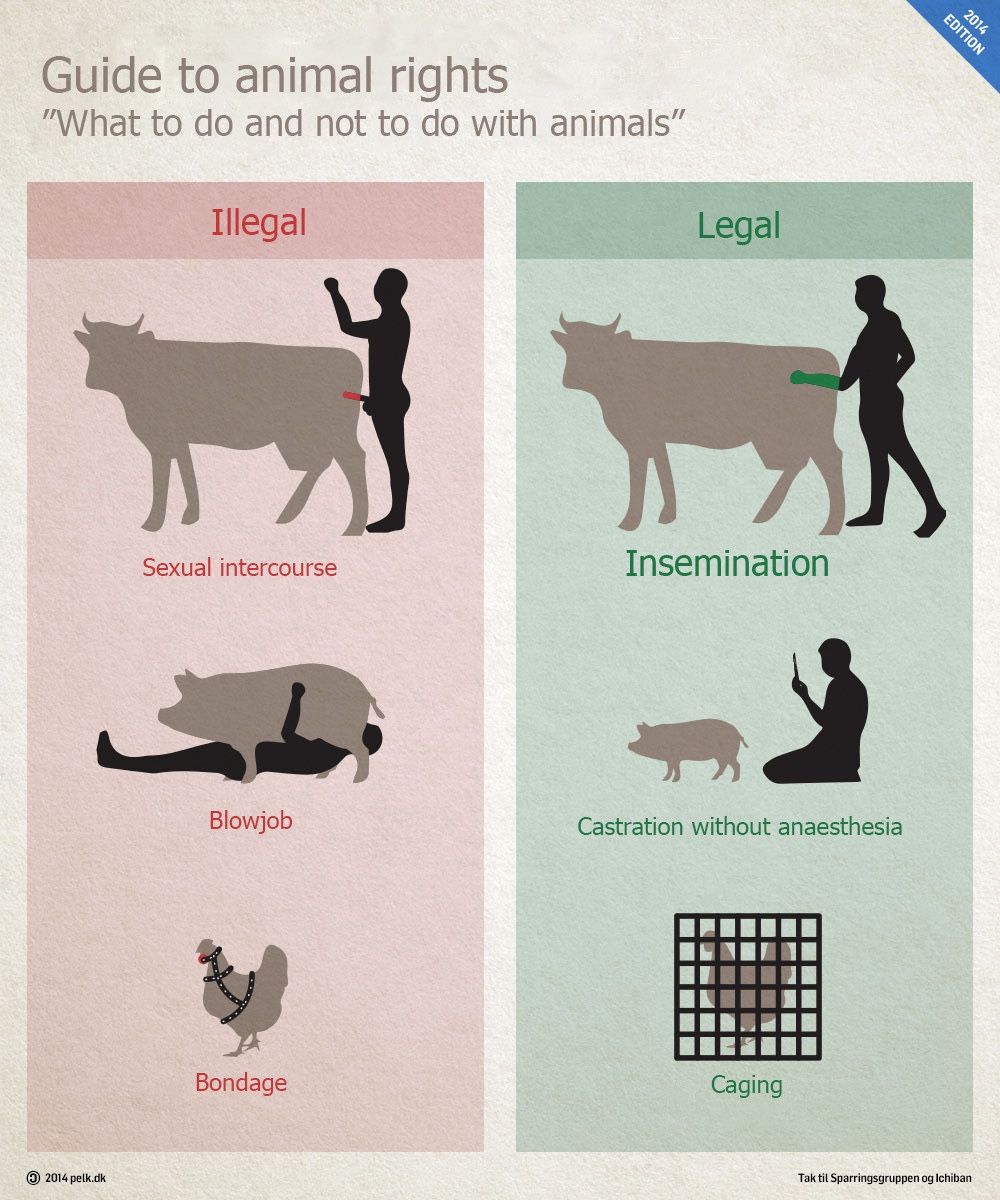 What to do and not to do with animals
