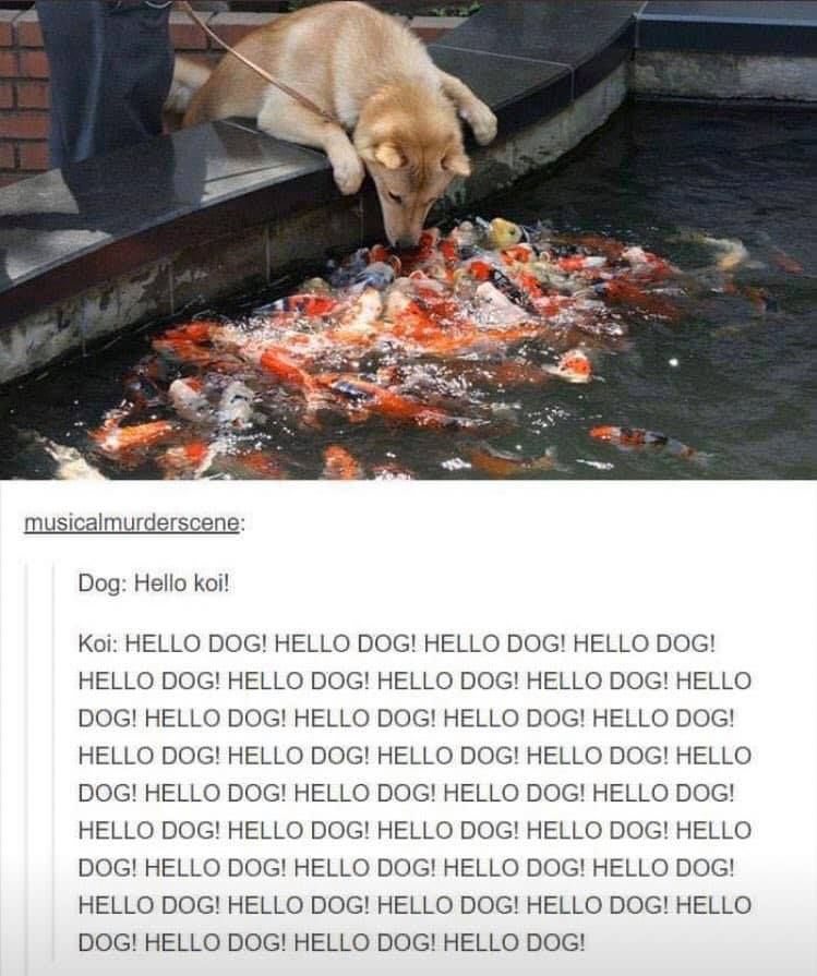 Hello!