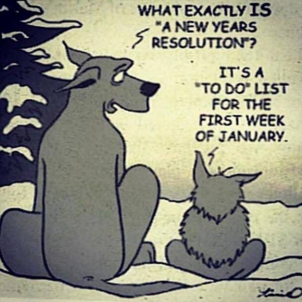 New Year Resolution...