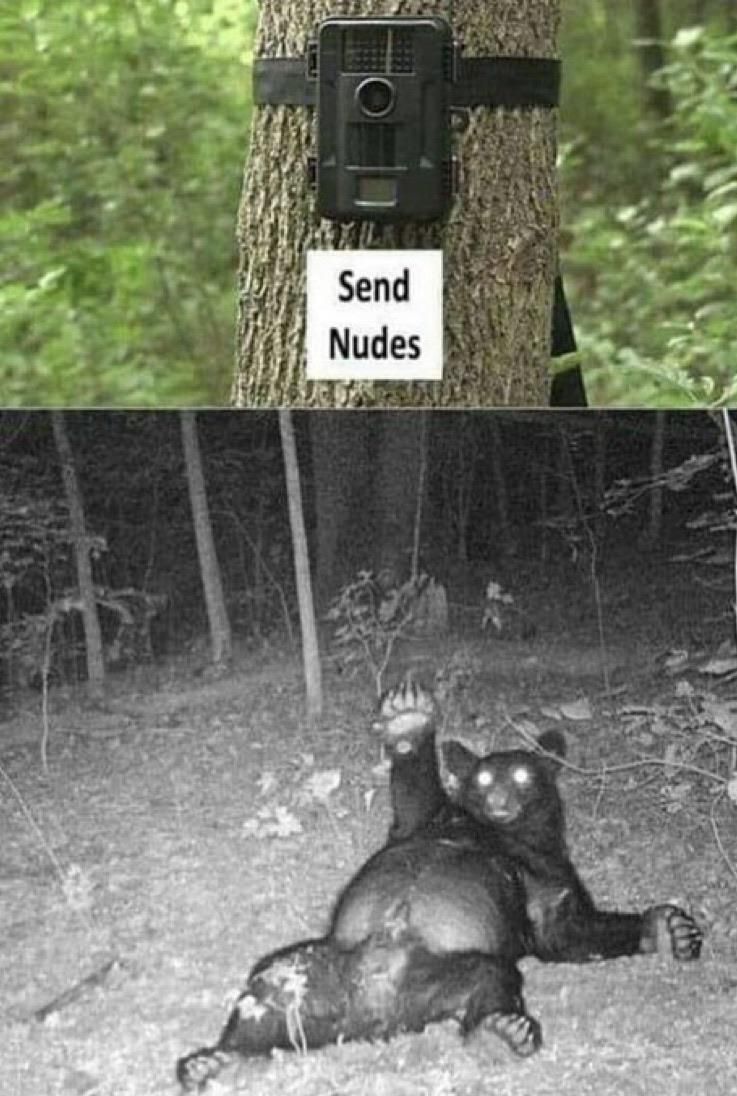 Bear naked