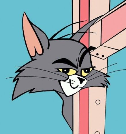 From Today's Meme Archives: "That F*cking Cat" (a.k.a. the origin of Tom-posting?) (est. 2005).