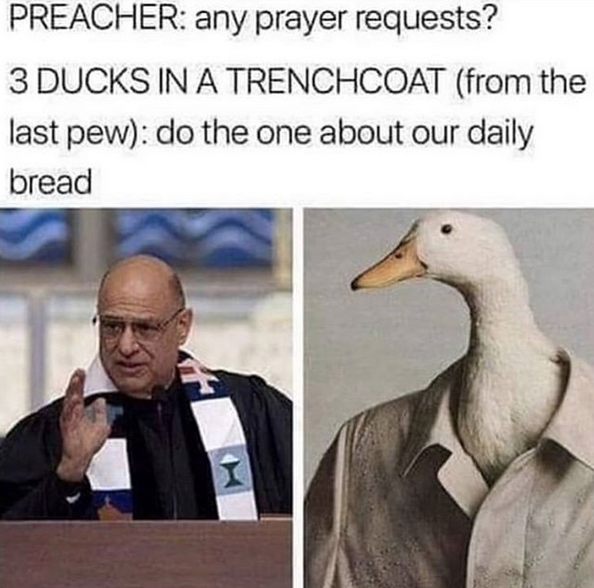 Meme? meme.