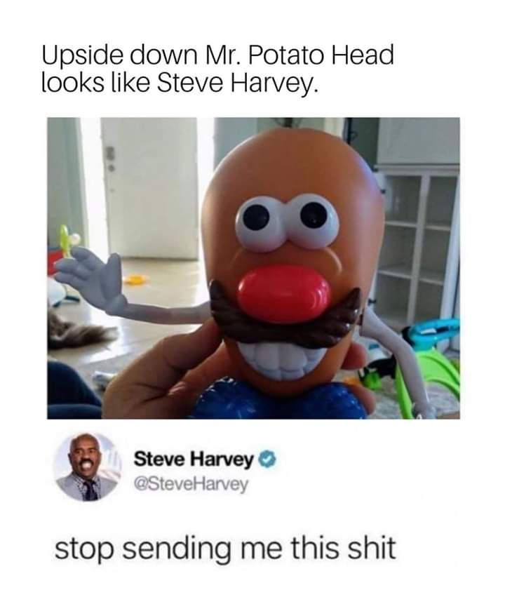 Mr Steve Potatohead