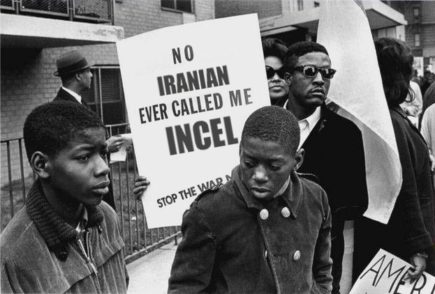 Kind of ironic that Iranians are more white than your average Amerimutt