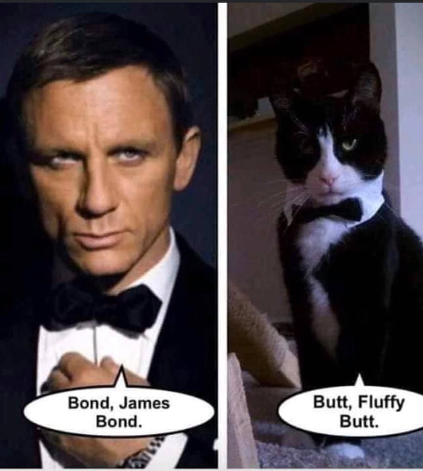I've decided on my new nickname and it isn't James Bond.