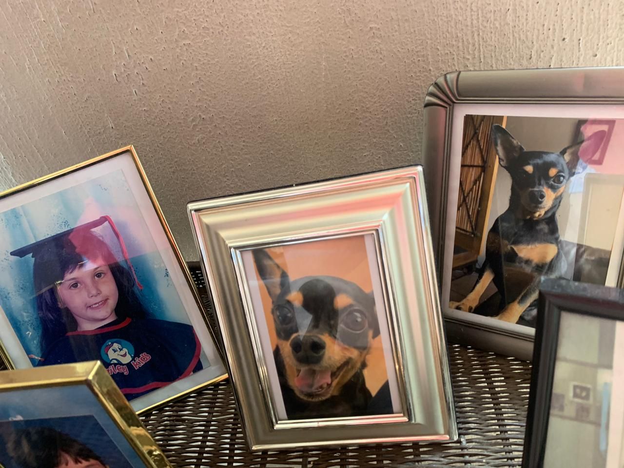 My best friend's parents are slowly but surely replacing her pictures with their dog