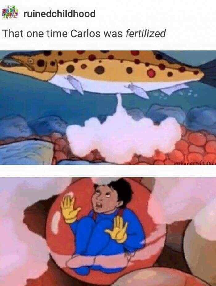 Miss Frizzle was a danger to children