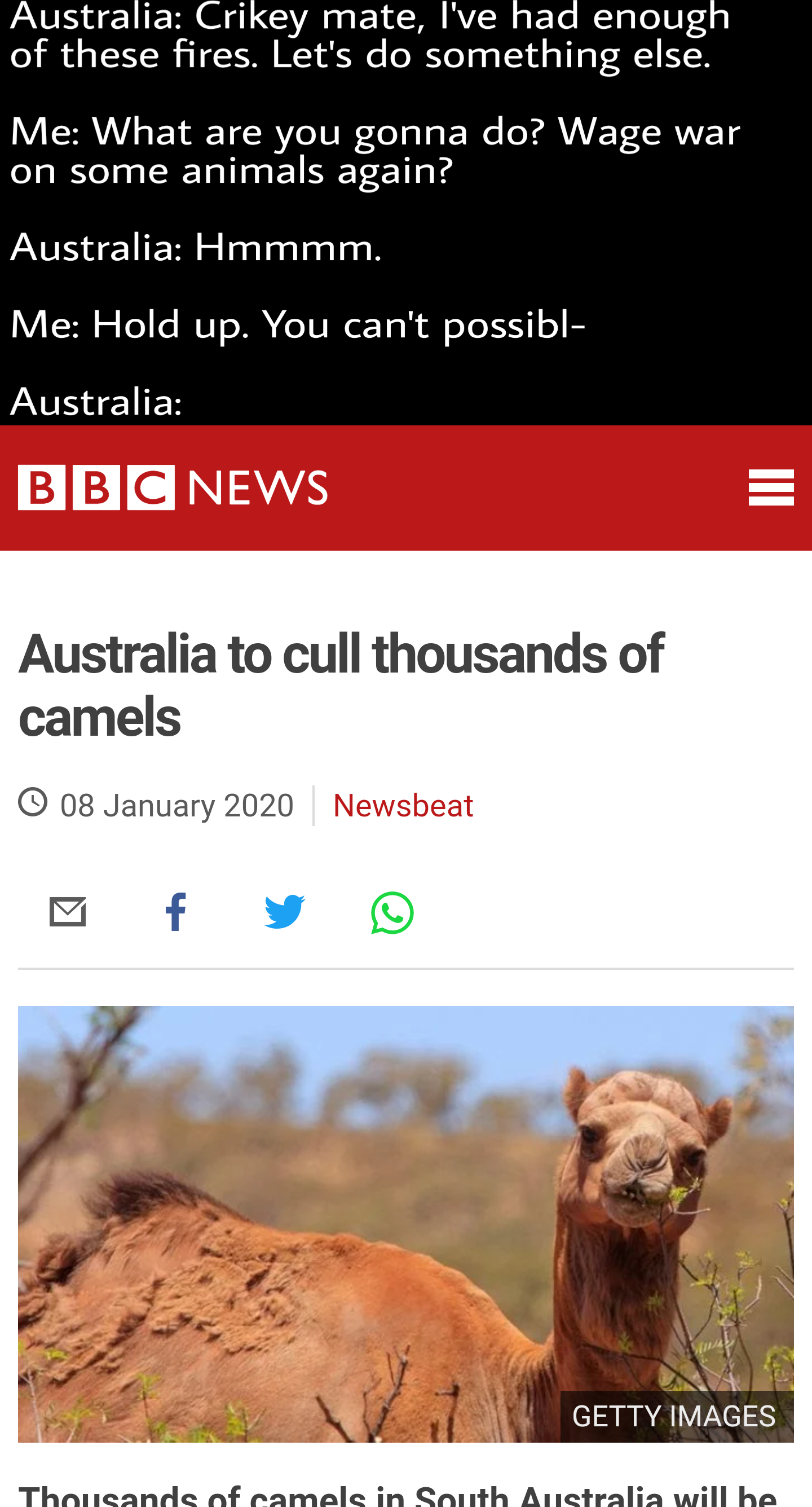 You can't make this up. At least they aren't as experienced as the emus.